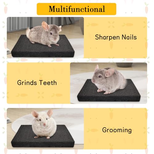 BNOSDM Chinchilla Scratch Foot Pads Natural Hamster Grinding Claw Mats 2Pcs - color: Black 2x Small