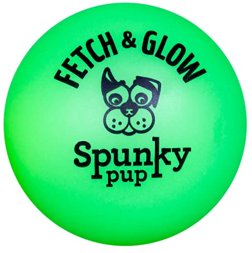 (3 Pack) Spunky Pup Fetch and Glow Ball - Large [Colors Vary]