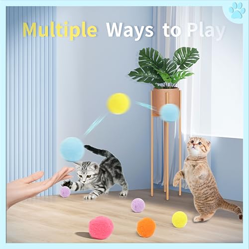 24 Pcs Colorful Pet Balls