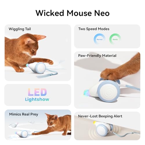 Cheerble Interactive Cat Toys for Indoor Cats, Automatic Moving Kitten Toys, Wicked Mouse Neo Cat Toy with Tail & Lights, Pet Cat Supplies, Rechargeable Cat Toys for Bored Indoor Adult Cats - color: Mouse Neo-Blue