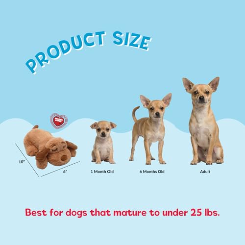 Snuggle Puppy Junior Heartbeat Toy, Calming Comfort, Small Breeds - Biscuit - color: Biscuit