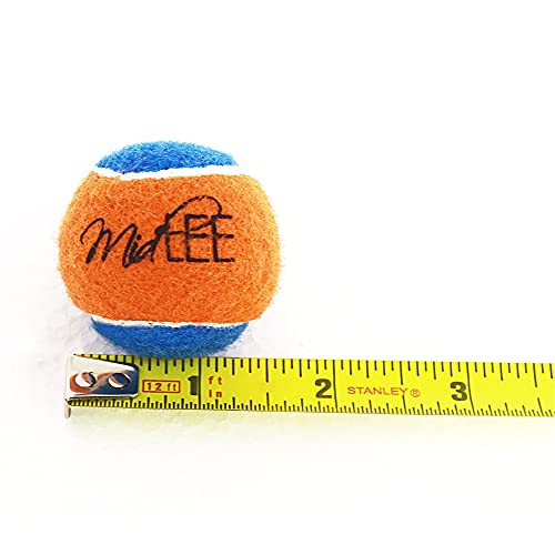 Midlee Squeaky Mini Tennis Ball for Dogs 1.5"- Pack of 12 (Orange/Blue) - color: Orange