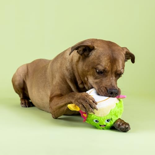 Fringe Studio COC-Nuts About You Plush Dog Toy, Pet Shop Collection (314366) - color: Coc-Nuts About You