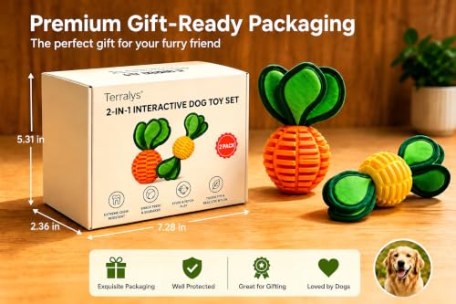 2-Pack Durable Dog Chew Balls for Aggressive Chewers