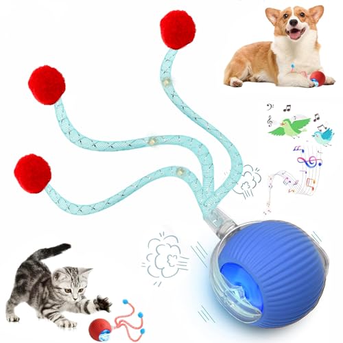 Speed 2.0 Tail Interactive Cat Toys for Indoor Cats, Moving Cat Toy - color: New Blue