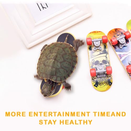Bearded Dragon Skateboard Toys Bird Parrot Intelligence Toys Turtle Fast Skateboard Accessories Fun pet Turtle Play and Training Toy mini Walking Skateboard Parrot Reptile Skateboard (Large)