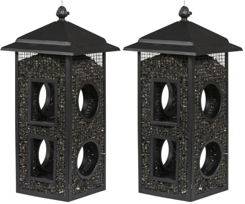 Perky-Pet Fly-Thru Wild Bird Feeder, 2 lb Seed Capacity (Pack of 2) - size: 2 Pack