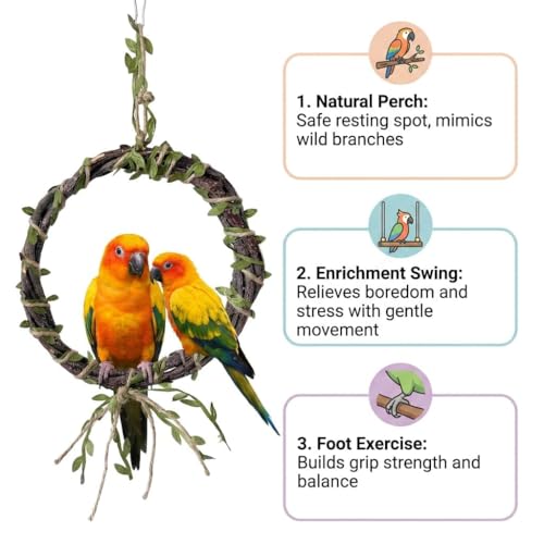 2-Pack Woven Vine Bird Swing & Climbing Perch, Large - size: Large