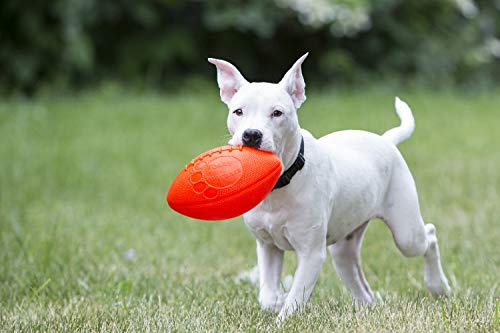 Jolly Pets Jolly Football Dog Toy, 8 in, Orange, Floats