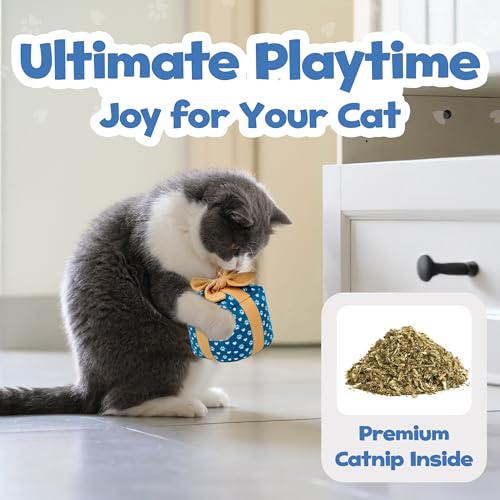 PUPROAR Gift Box Cat Birthday Toy, Plush Catnip & Crinkle Kitten Gift for Indoor Cats & Kittens
