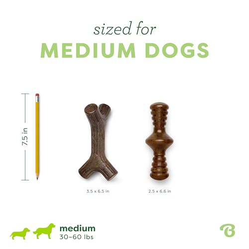 Benebone 2-Pack Maplestick/Zaggler Durable Dog Chew Toys, Dog Bones, Medium - size: Medium, style: Maplestick/Zaggler