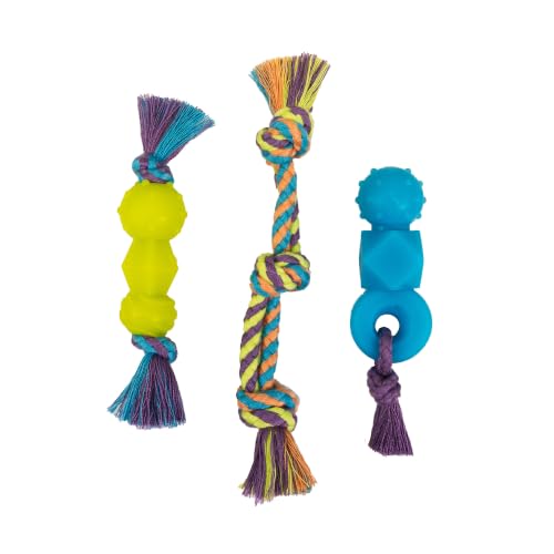 Mini Dentachew Dental Dog Chew Toys, 5-8", 3-Pack - color: Dentachew