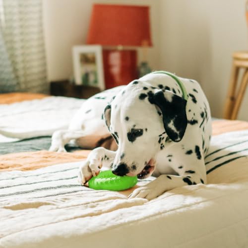 Playology Dual Layer Ring Toy for Aggressive Chewers, Sweet Potato Scent - size: Jumbo, style: Sweet Potato