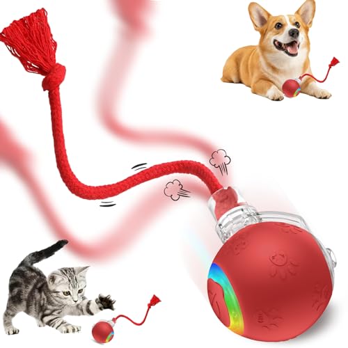 Speed 2.0 Tail Interactive Cat Toys, Rechargeable Ball for Indoor Cats - color: Red