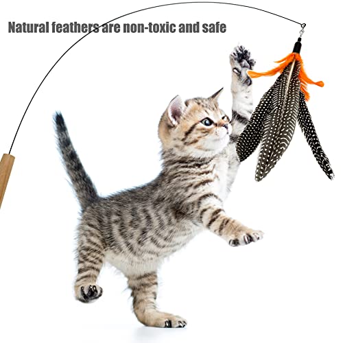Cat Feather Toys Refill, 6 Pieces Cat Wand Attachments Da Bird Feathers Toy for Indoor Cats - color: 6 PCS Cat Toy Feather Refills