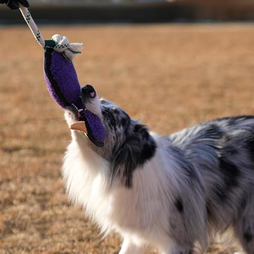 Green Sheep Squeaky Plush Dog Toy, Interactive Rope Toy with Recycled Materials for Tug, Fetch and Play, Medium to Large Dogs, Chew Toy, Duck - color: Duck