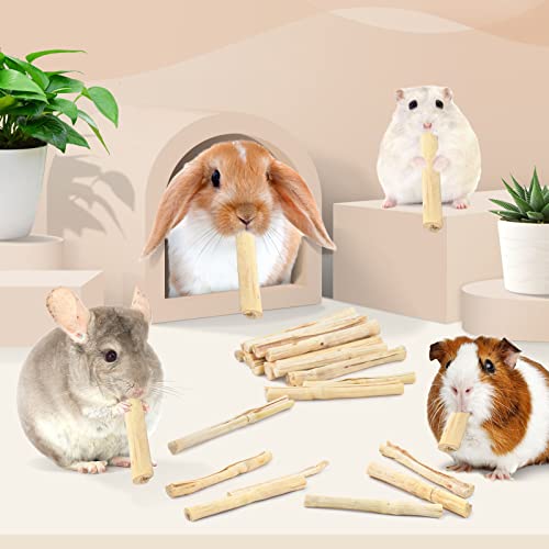 Bissap 700g/1.5Ib Sweet Bamboo Chew Sticks for Rabbits, Bunny Chewing Sticks for Rabbits Hamster Chinchilla Guinea Pigs Rabbit Small Animals Natural Treats Teeth Grinding Toys - size: 1.54 Pound (Pack of 1)
