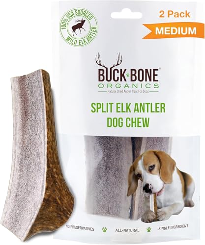 Buck Bone Organics Dog Chews, Antlers for Dogs, Premium Natural Elk, Long Lasting Dog Bones for Aggressive Chewers, No Preservatives, Wild Shed in the USA (Medium 2 Pack) - size: Medium, style: 2 Pack