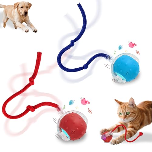 Interactive Cat Toys Smart Ball for Cats & Dogs! Now with 2 Rapid Tails. Features: 360°Auto-Rolling, Motion Activation& Bird Sounds. Perfect for Indoor Pet Exercise & Fun. (Red＆Blue) - color: Red＆Blue