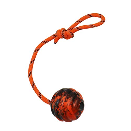 2Pcs Dog Training Ball on Rope - Exercise & Reward Toy for Dogs - Chew, Pull, Throw, Tug & Fetch - Belgian Malinois Gifts - size: 2pcs