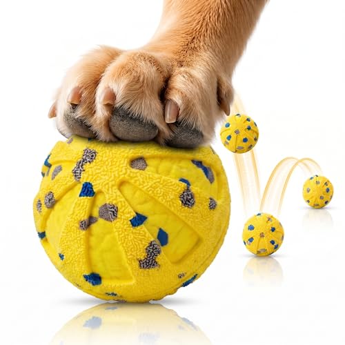 Dog Ball