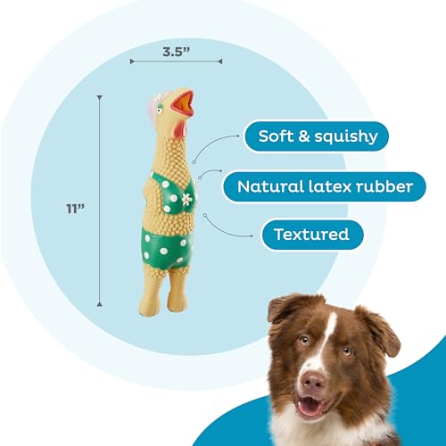Outward Hound Squawkers Squeaky Latex Dog Toy, Grandma Hippie, 11.3" - color: Grandma Hippie Chick, size: Large