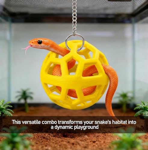 Reptile Tank Accessories Set with Interactive Feeder Ball, Skateboard Toy, Exercise Bells for Bearded Dragon, Lizard, Gecko Enrichment and Activity
