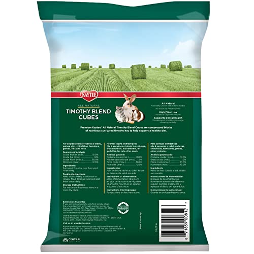 Kaytee Timothy Hay Blend Cubes for Pet Rabbits, Guinea Pigs, Chinchillas, and Other Small Animals, 1 Pound, (Pack of 2) - size: 16 Ounce (Pack of 2)
