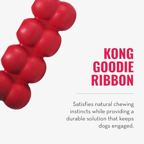 KONG Ring and Goodie Ribbon, Durable Rubber Dog Toys, for Small Dogs - size: Small