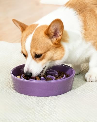 TRUVIC Ceramic Slow Feeder Dog Bowls, 1.5 Cup Puzzle Slow Feeder Bowls for Fast Eaters, Ceramic Dog Food Dish no Black Chin, Puzzle Bowl for Medium Dogs, Purple - color: 03-Purple, size: M-1.5 Cups
