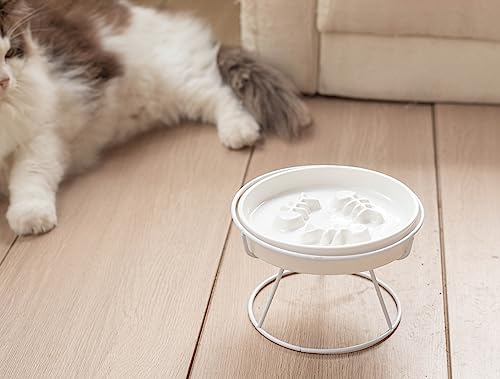 Ceramic Elevated Slow Feeder Cat Bowl, Anti Vomit, Removable Dish, White - color: White