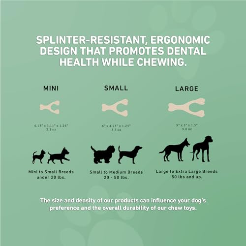 BetterBone Moderate Density Veggie-Scented Dog Chew Toy, Large, Plant-Based Wishbone Dental Enrichment Toy for Chewers Over 60 lbs - size: Large