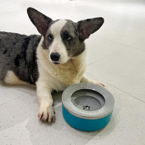Stainless Steel Dog Water Bowls, No Spill Water Bowls for Dogs, Lakeblue - color: LakeBlue