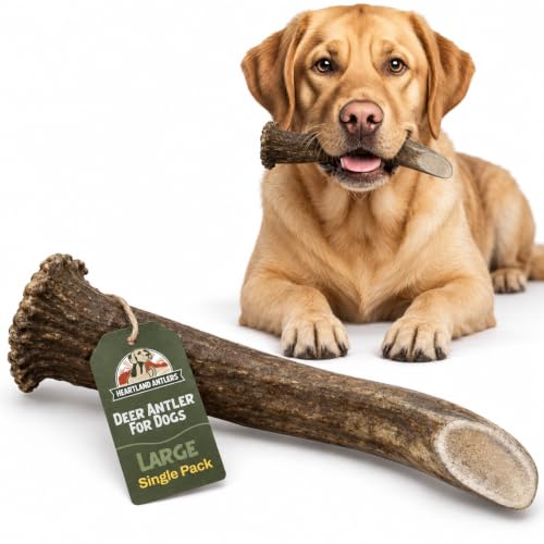 Heartland Antlers Whole Deer Antler Dog Chew for Aggressive Chewers - style: Large (Dogs 45-65 lbs)