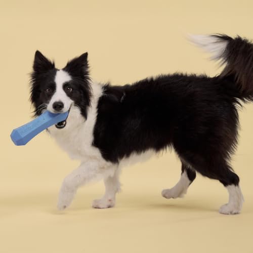 Playology Squeaky Chew Stick - Scented Dog Toy - Jumbo, Blueberry Scent - size: Jumbo, style: Blueberry