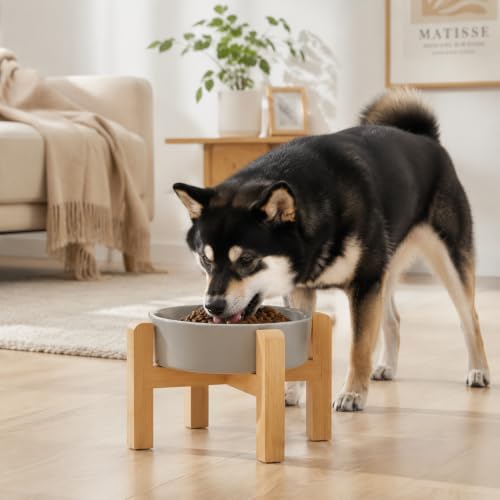 Petygooing Elevated Slow Feeder Ceramic Dog Bowls 8.26in, Slow Feeder Elevated Bowl for Small&Medium, Ceramic Slow Feeder Heavy Weighted Non-Toxic Non-Slip Puzzle Maze (Gray, 8.26in) - color: Gray, size: 8.26in