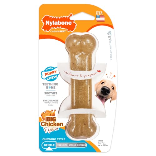 Nylabone Puppy Chew Teething Bone Dog Chew Toy, Chicken Flavor, Small - color: Teething Bone, size: Small