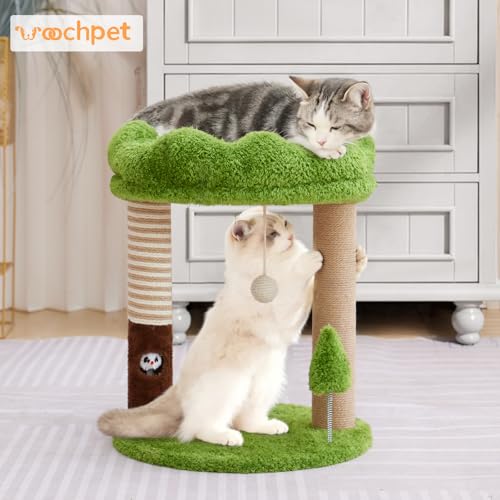 WOOCHPET 21" Small Cat Tree with 2 Scratching Posts and Perch Bed - color: Green-2