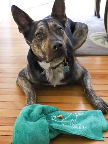 Treat Towel for Dogs – Snuffle Towel for Mental Stimulation & Enrichment, Interactive Lick Mat Alternative, Washable Microfiber, Boredom Buster Nose Work Toy for All Breeds – Green - color: GreenSTD