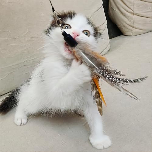 miwoowim 7PCS Cat Wand Refills, 6 Natural Feathers & Replacement String - color: 6 Feather Refills