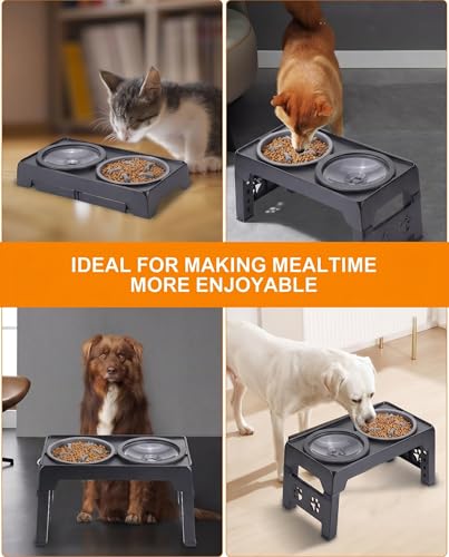 LALOBLUE Collapsible Dog Bowls Raised Elevated Adjust Stand