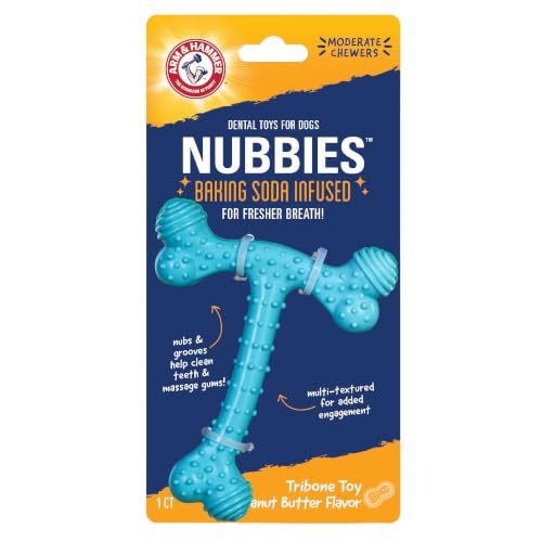 Arm & Hammer Nubbies T-Bone Dental Dog Chew Toy, Peanut Butter Flavor - color: Blue T-Bone, size: 1 Count