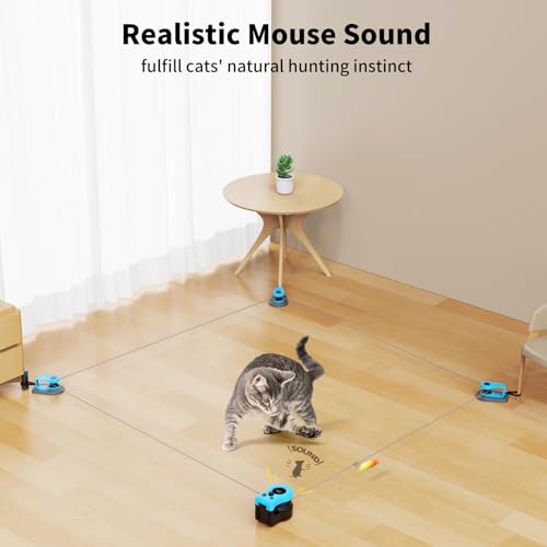AsFrost Upgraded Interactive Cat Toy for Indoor Cats Chase/Run/Hunt-SkyBlue - color: Sky Blue