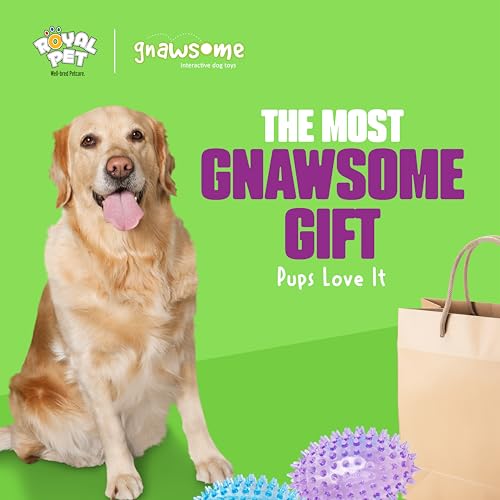 Gnawsome™ 3.5” Spiky Squeaker Football Dog Toy - Small, Cleans Teeth and Promotes Good Dental and Gum Health for Your Pet, Colors Will Vary (Pack of 2) - size: 3.5" (Pack of 2)