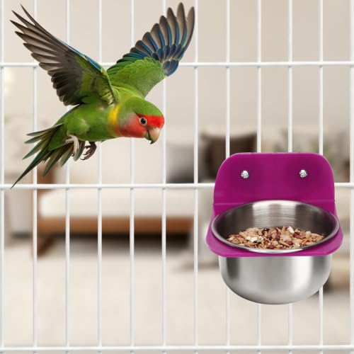 Hypeety Bird Feeder Bowl for Cage Stainless Steel Feeder Cup for Parrots, L