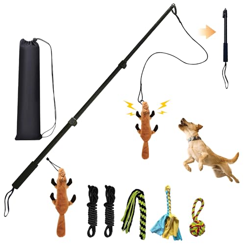 Flirt Pole for Dogs & GPS Wireless Dog Fence for Small Medium Large Dogs Training Playing Exercise