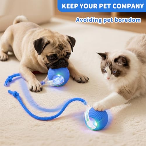 Cat Toys for Indoor Cats Smart Automatic Ball Moving Chase Dogs Toy, Blue - color: B2-Blue Dragonfly