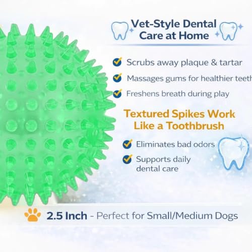 Squeaky Spiky Dog Ball for Teeth Cleaning & Gum Massage 2.5 Inch Small Medium Dogs Green | Spiny TPR Rubber Chew Toy for Fetch Play Interactive Bouncy Dental Ball Durable BPA Free Nontoxic Floats - size: Green Ball 1-Pack