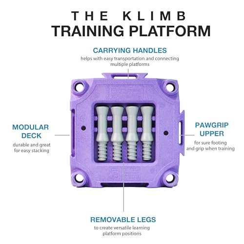 Blue-9 KLIMB® Dog Training Platform, Durable Portable, Made in USA, Purple - color: Purple