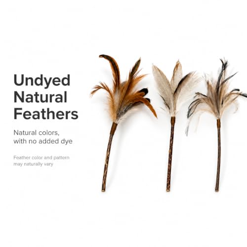 Silvervine Feather Cat Toys, 3 Pack Natural Feather Chew Toys - style: Natural Feather